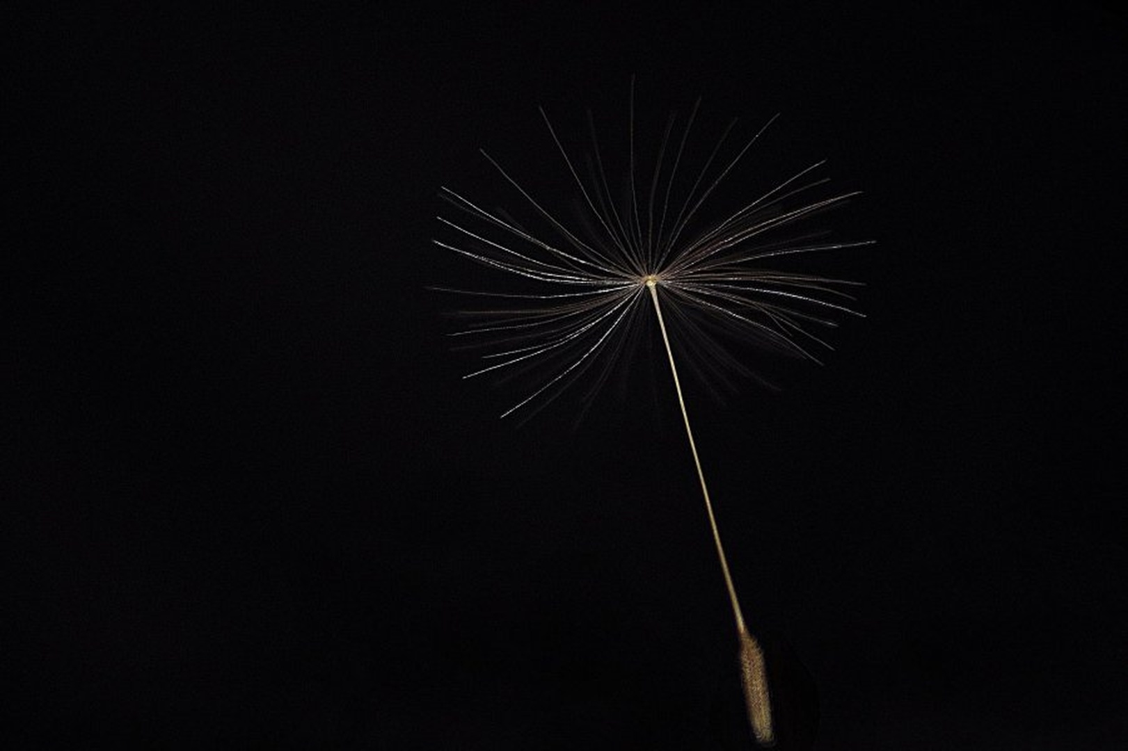 *\ by uroš ajd