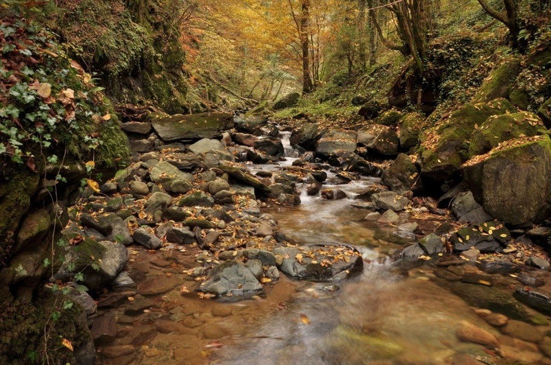 spomin na jesen by uroš ajd