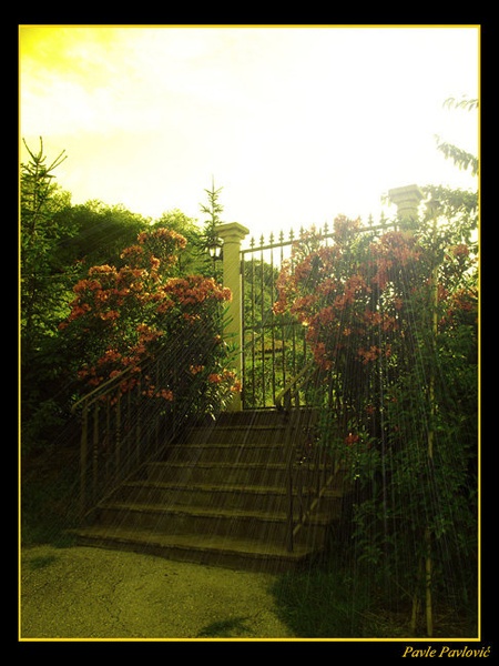 stairway to heaven by grim