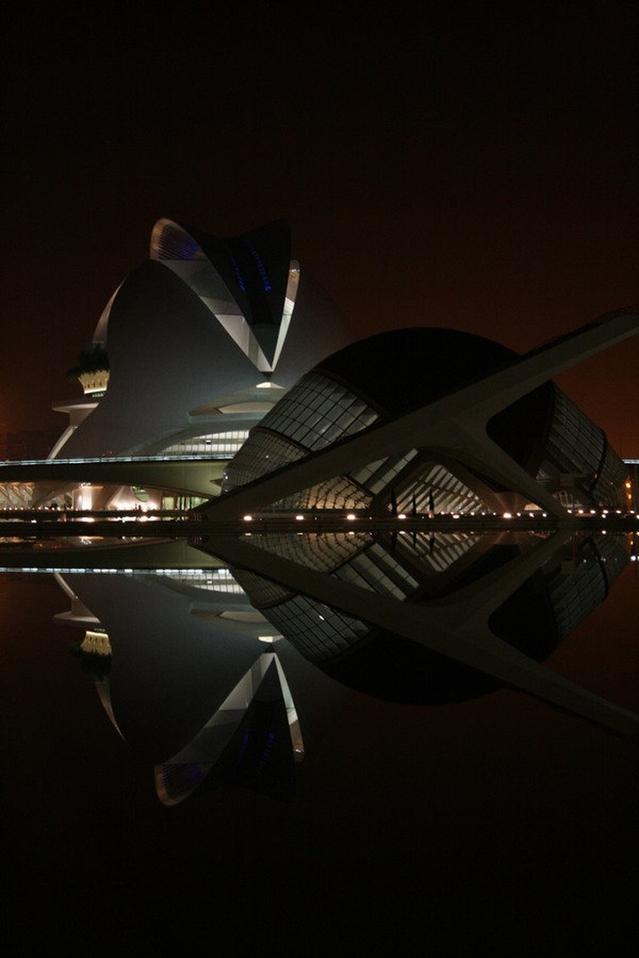 Ciudad de las Artes y las Ciencias de Valencia by Marko Ličen