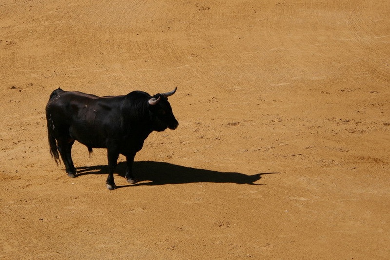 El Toro by Marko Ličen