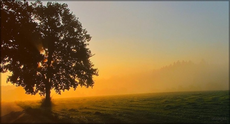 V pričakovanju novega dne by vanjat