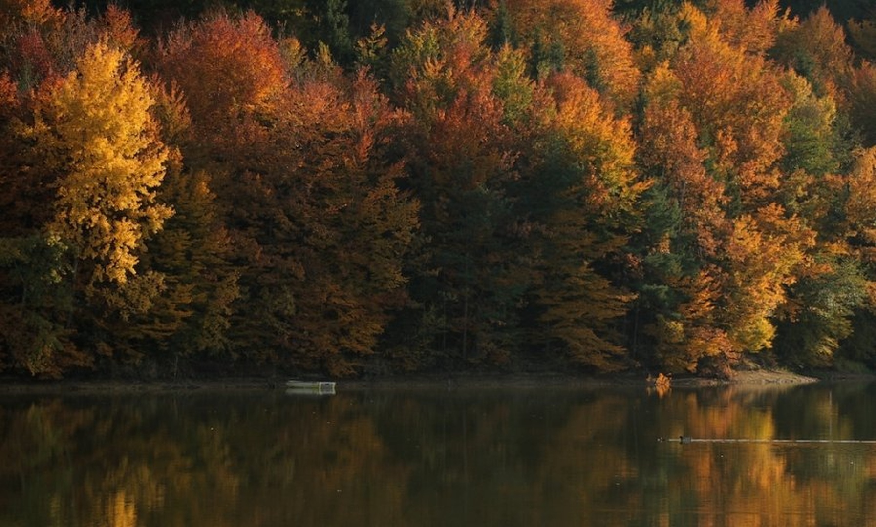 Jesenska idila by