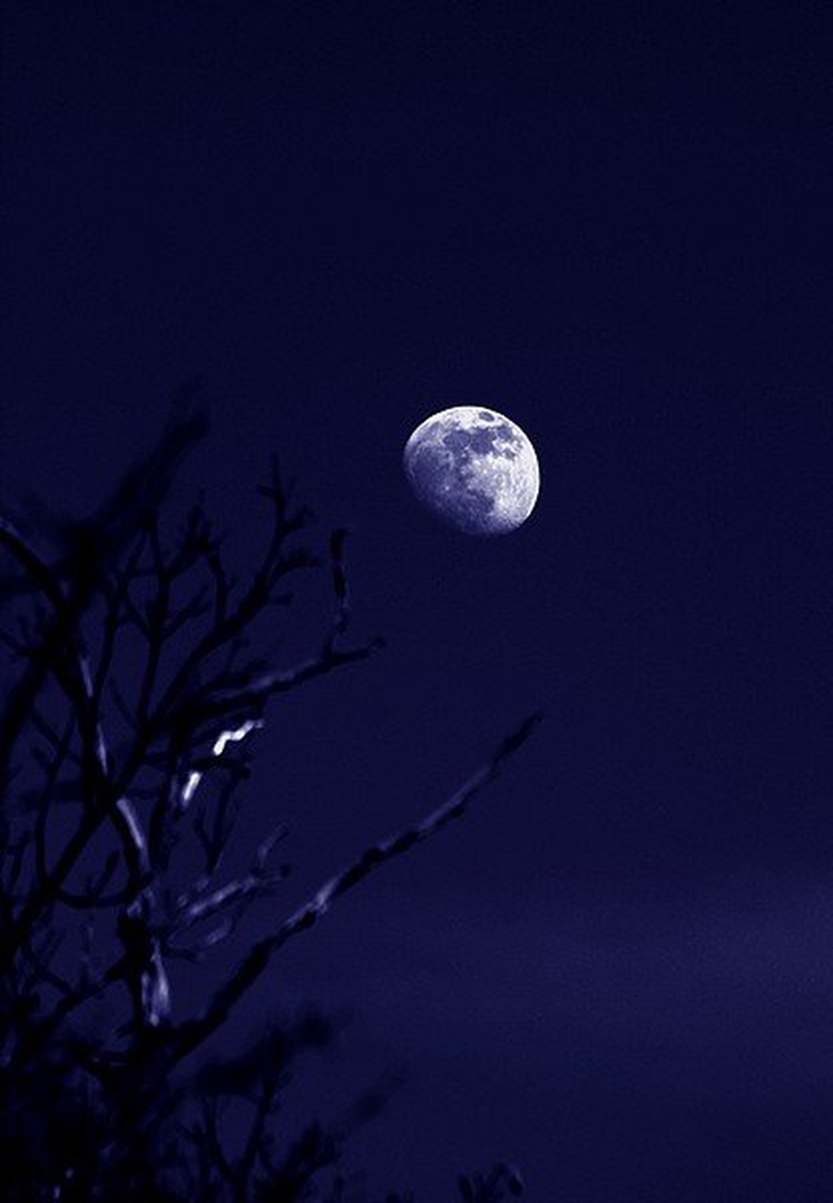 Luna by
