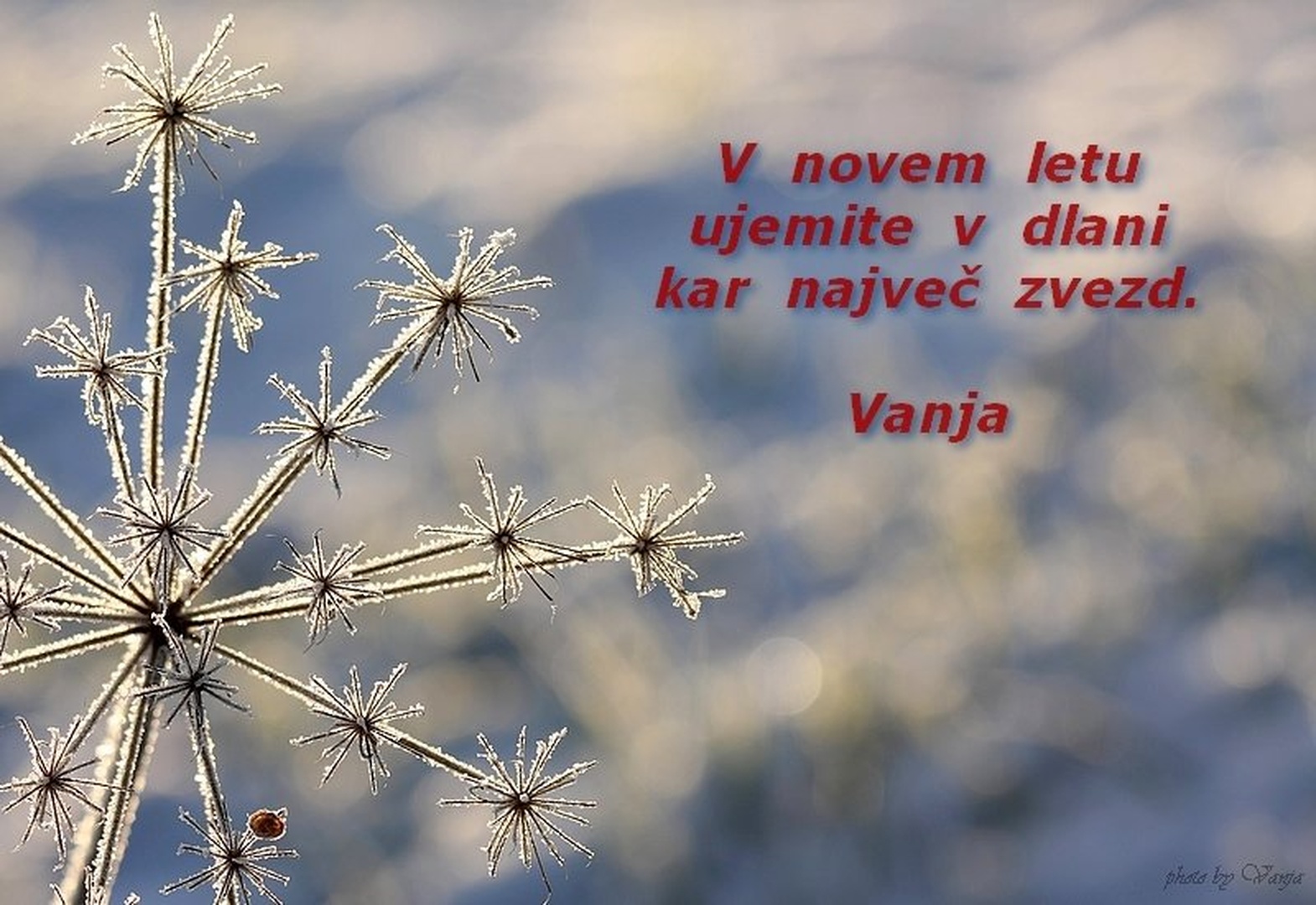 Voščilo by