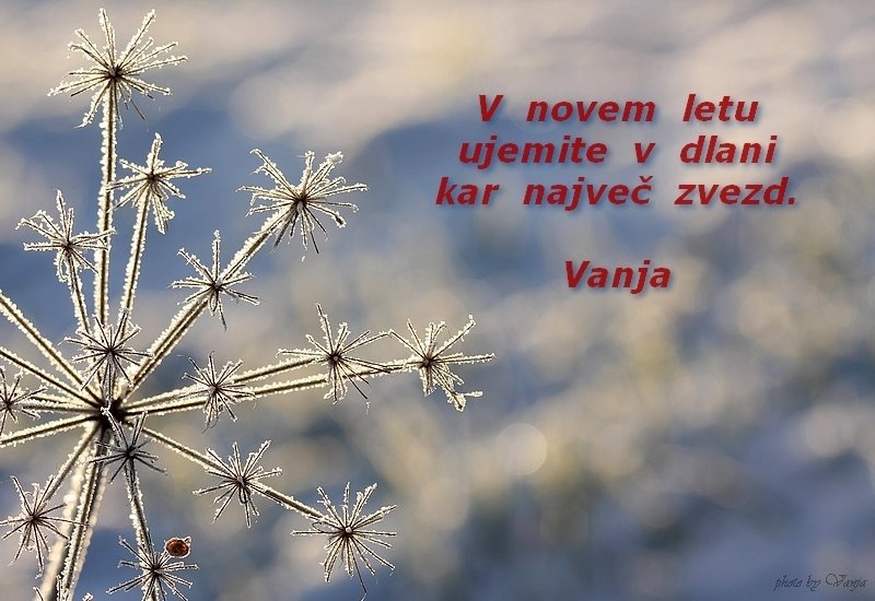 Voščilo by vanjat