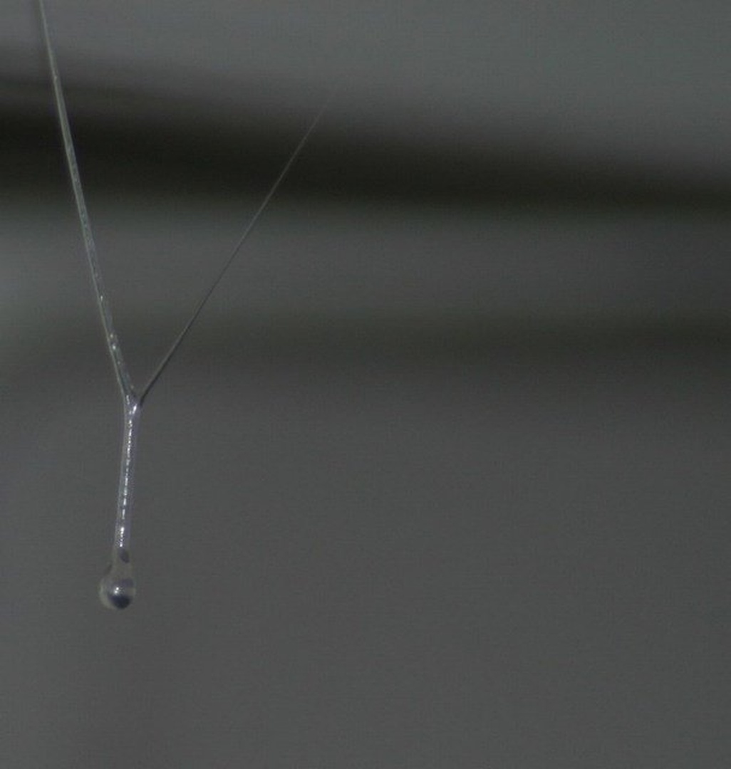 Hanging on? by