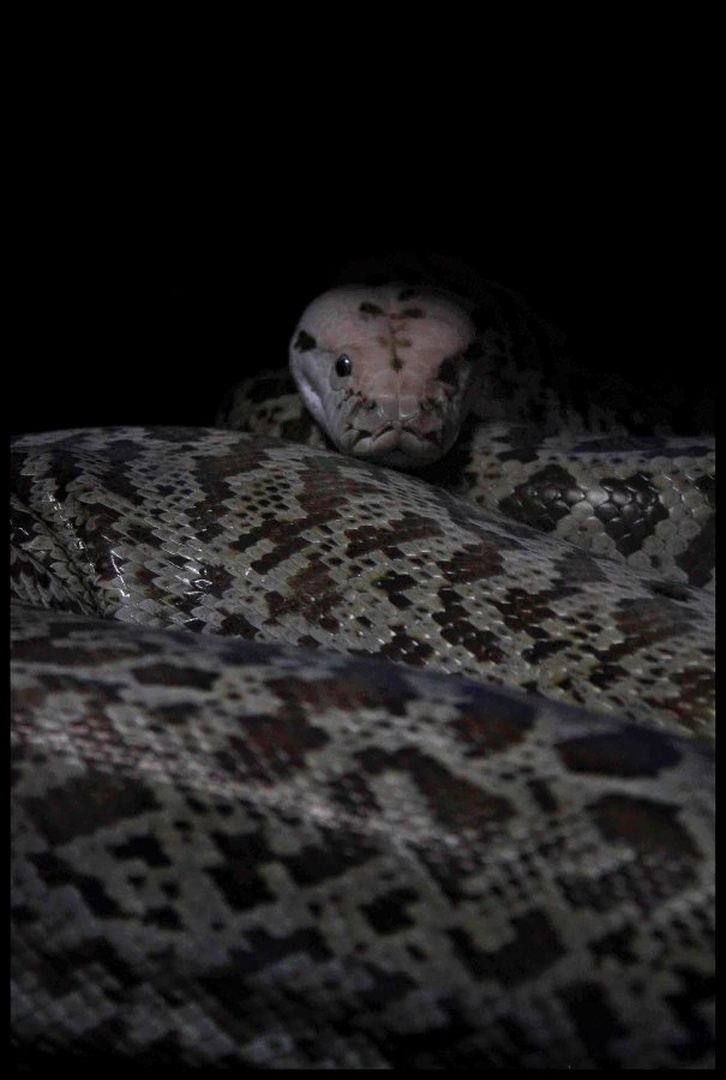 I'm watching you by