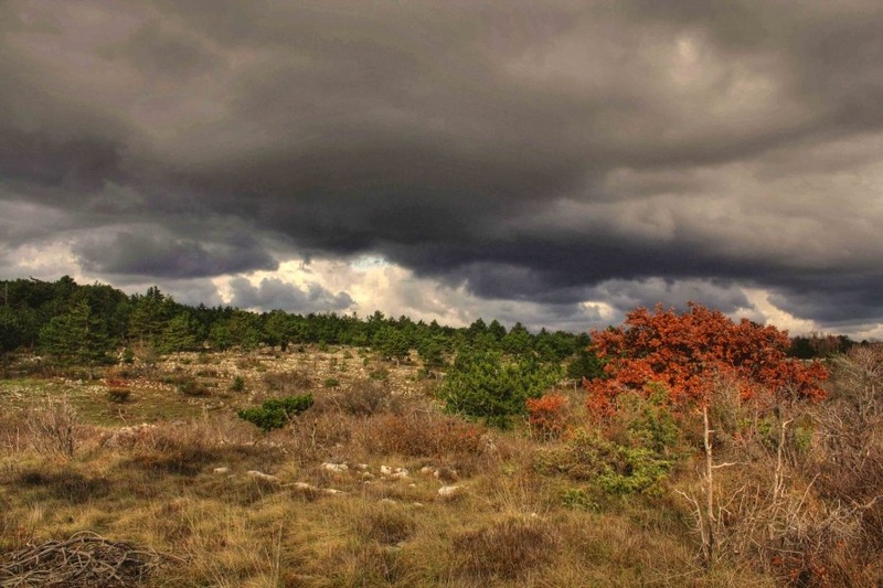 The storm is coming... by pantegana