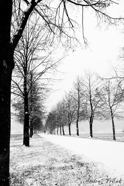 Walking down a snow covered road by Andrej Trček