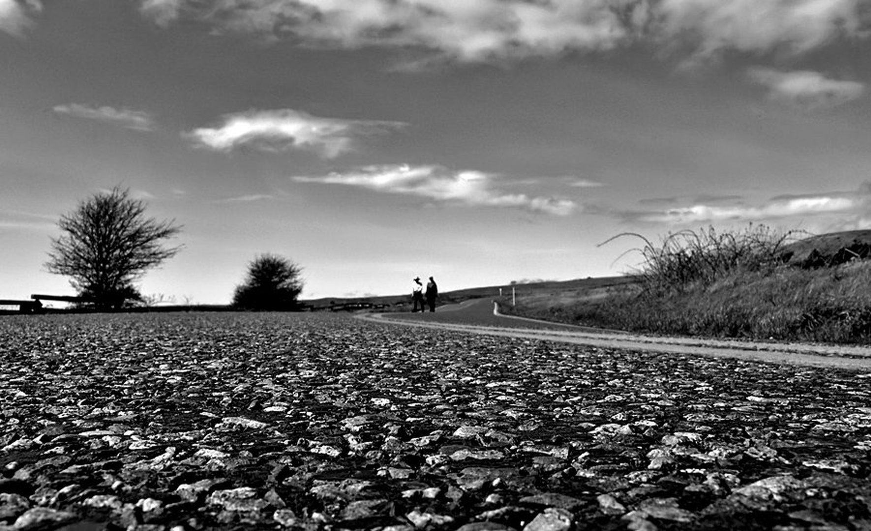 road less traveled by dee