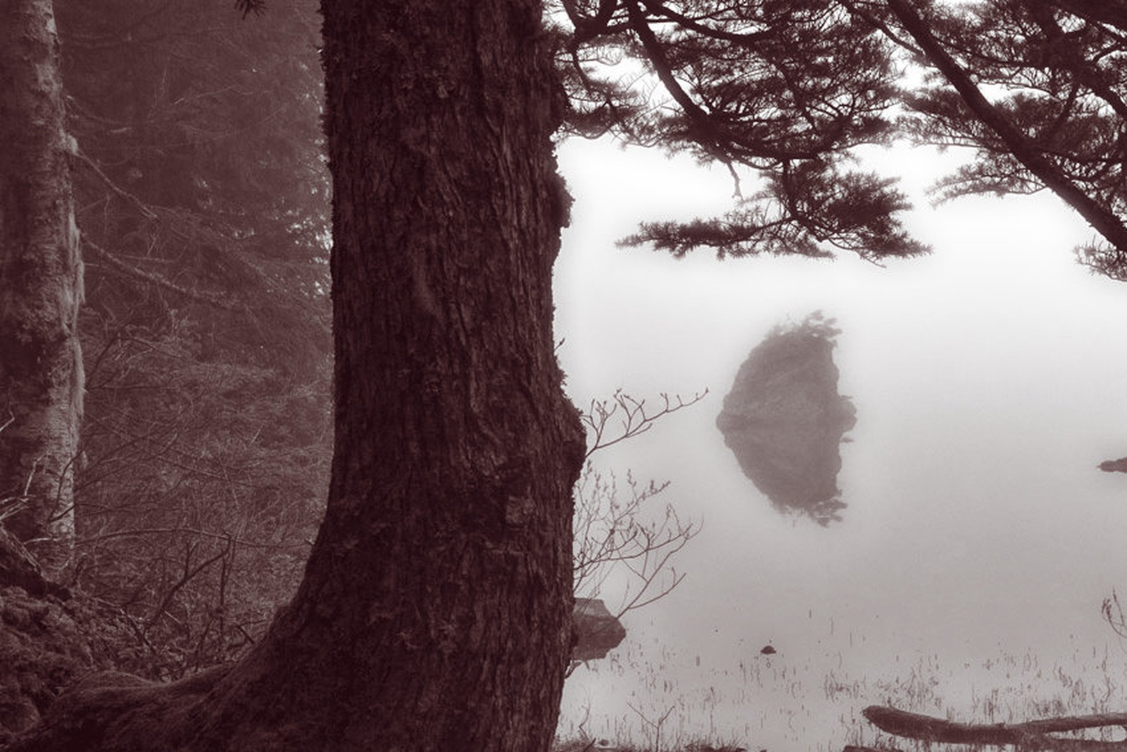 Damned Lake by dee