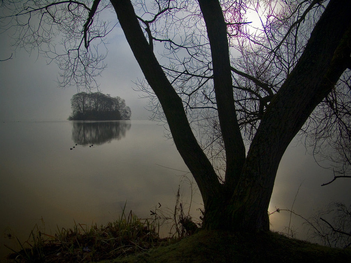 forgotten by dee