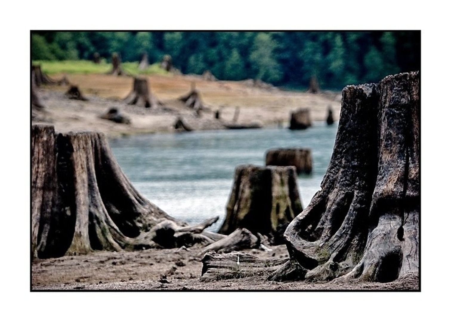 No Man's Land by dee