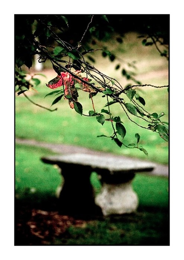 For You by dee