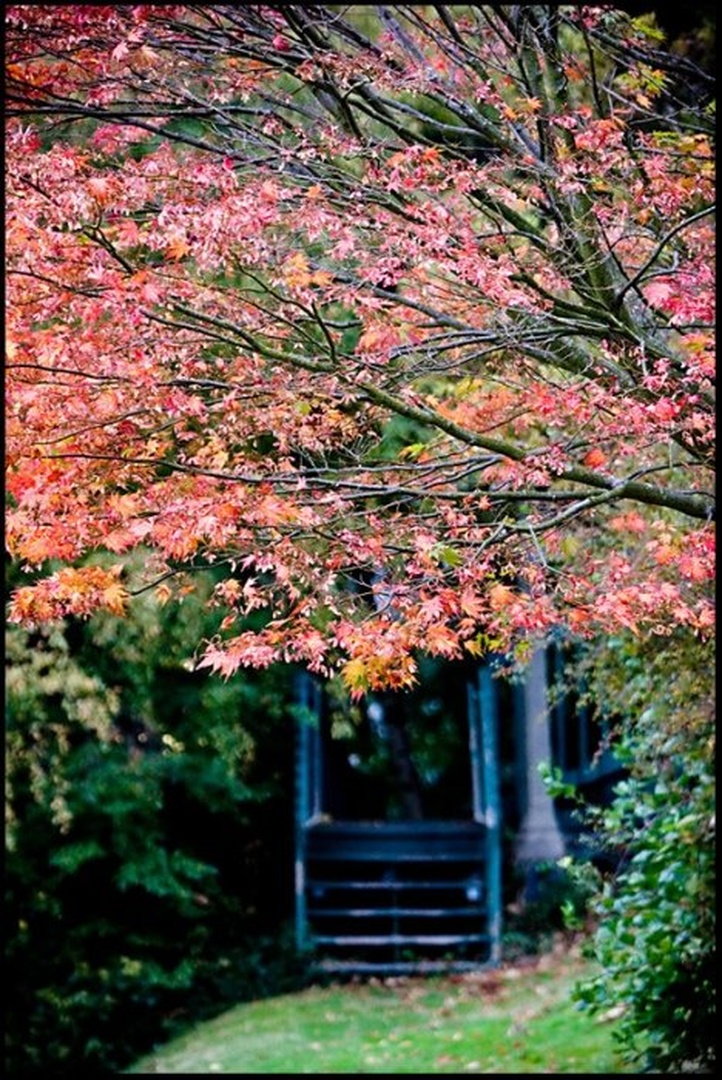 In Fall by dee