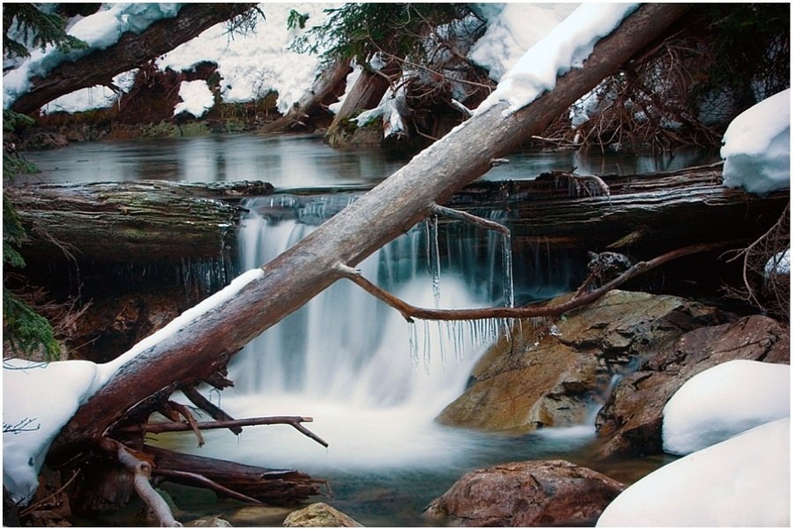 tranquility by dee