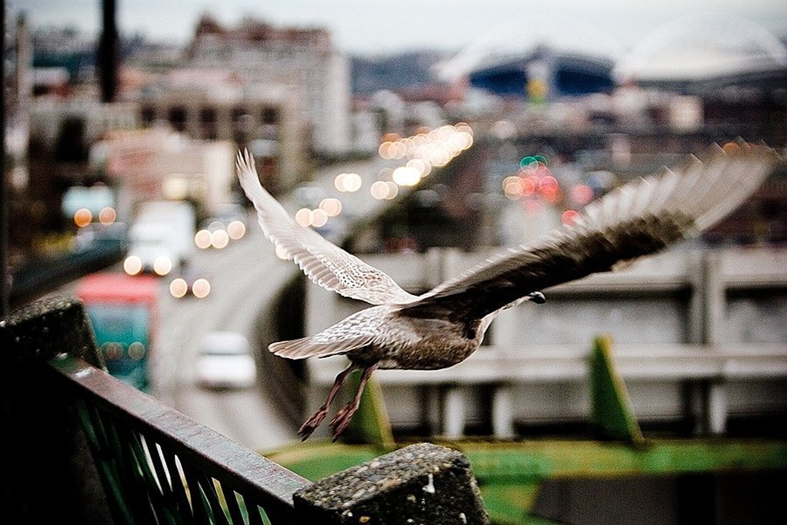 taking off by dee