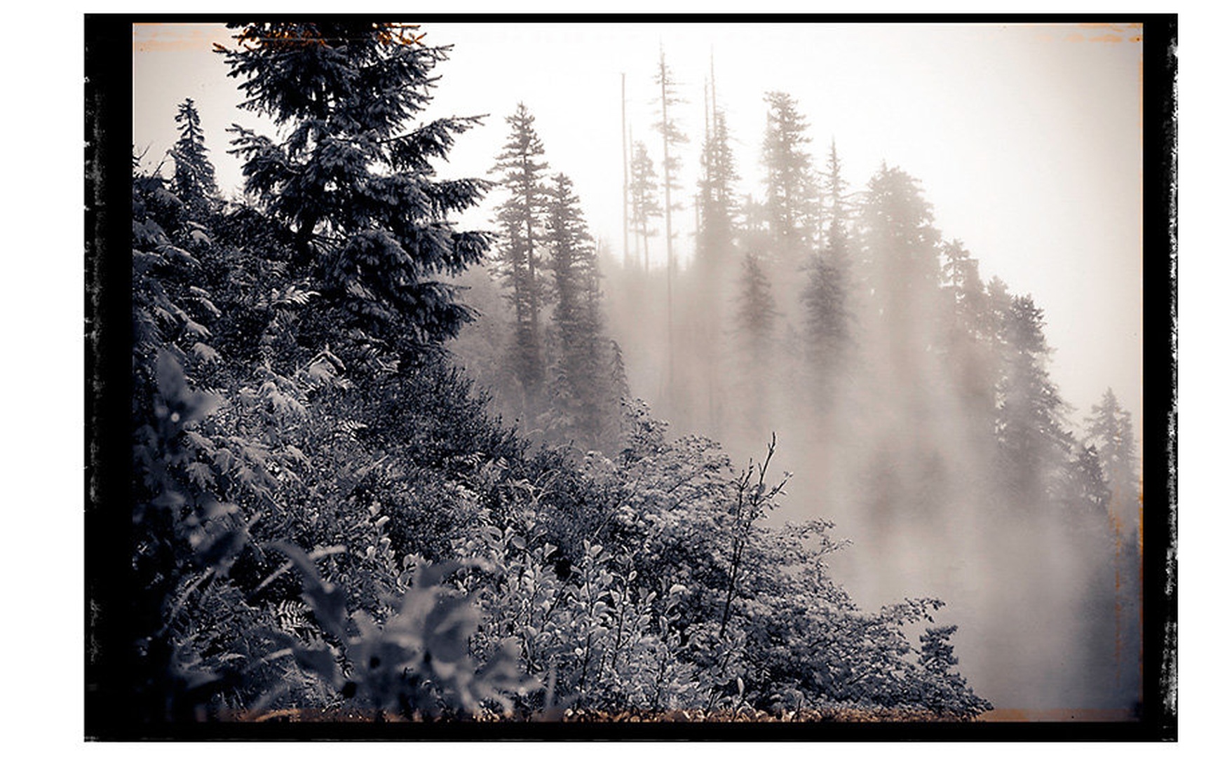 High Lonesome II by dee