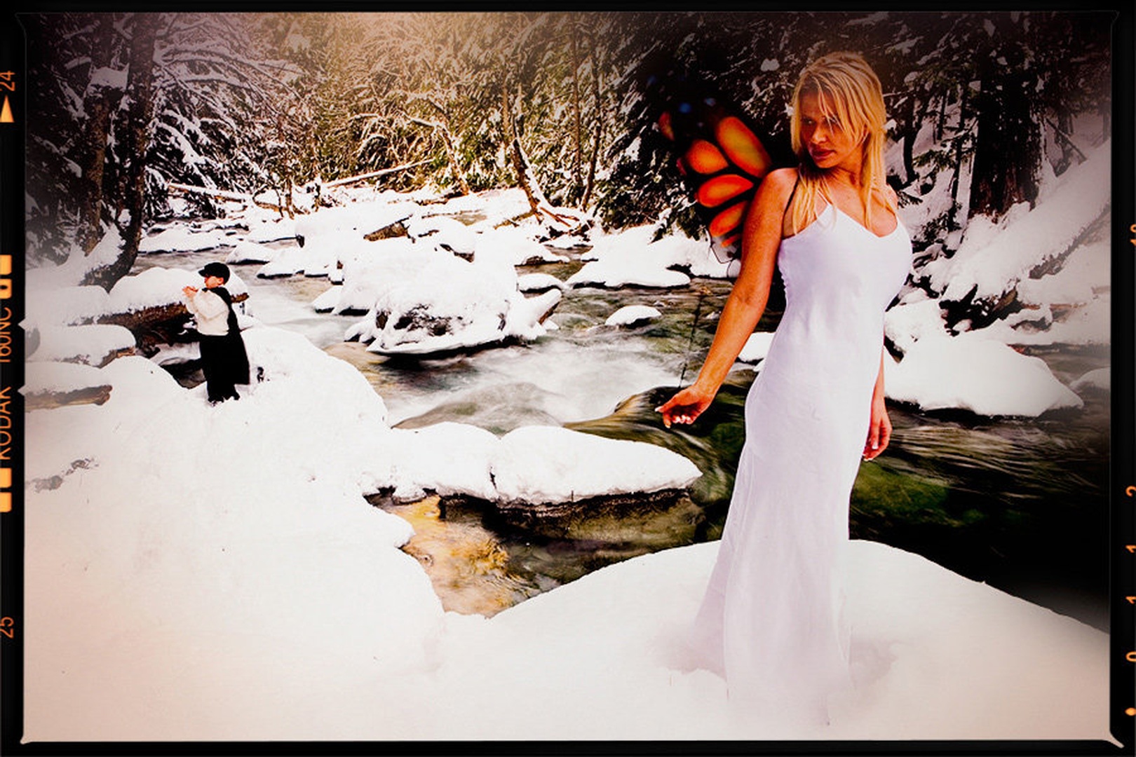 Winter Fairy by dee