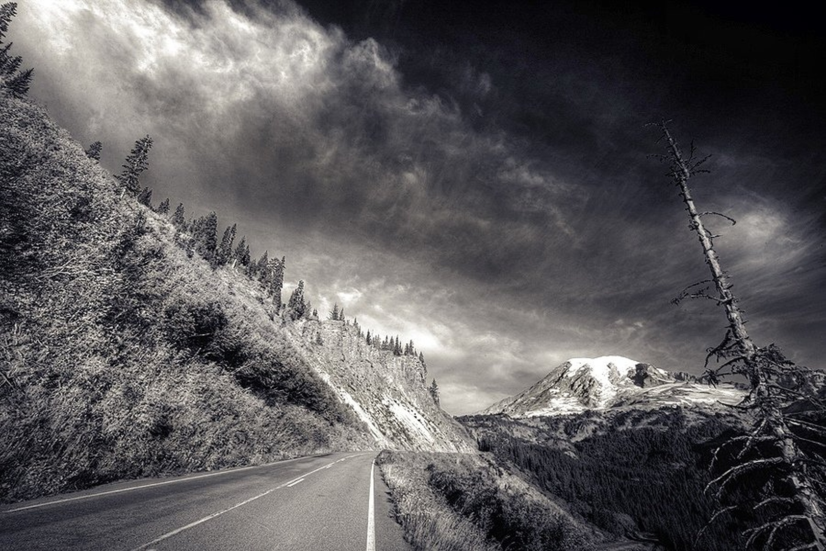 SR 410 by dee