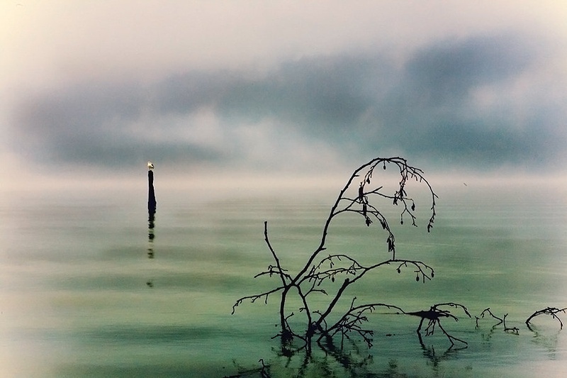 desolation by dee