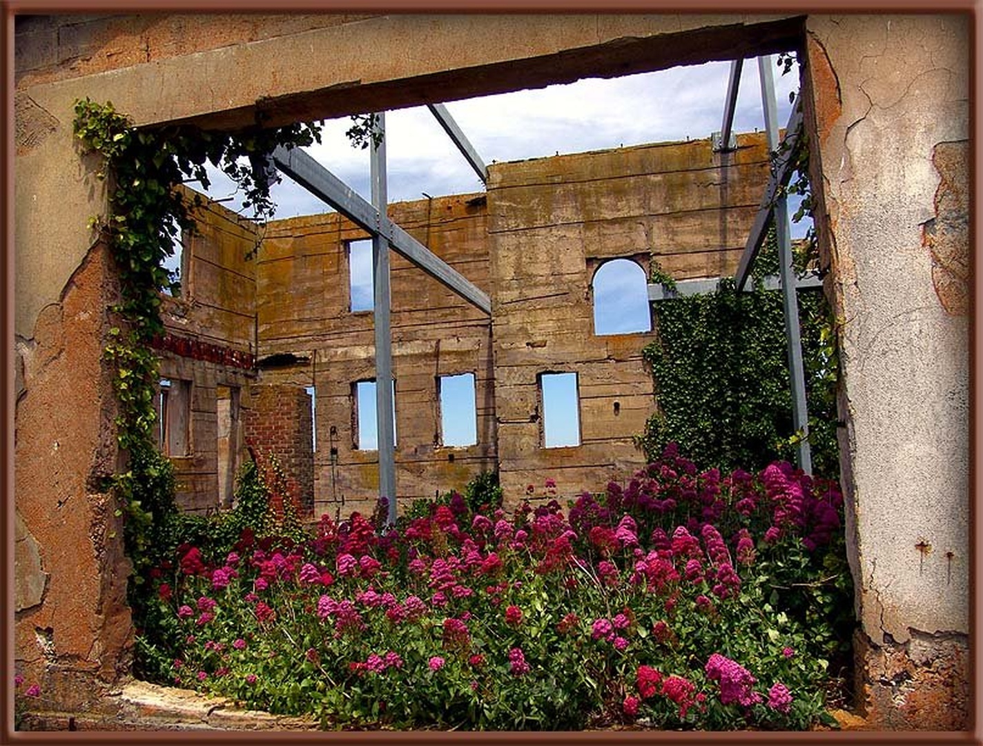 Window Of Time by dee