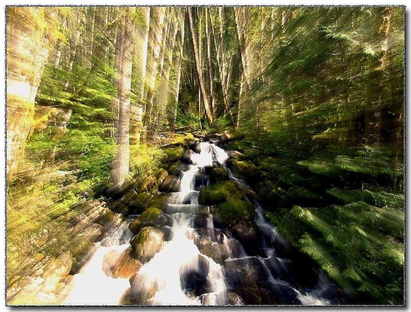 the stream by dee