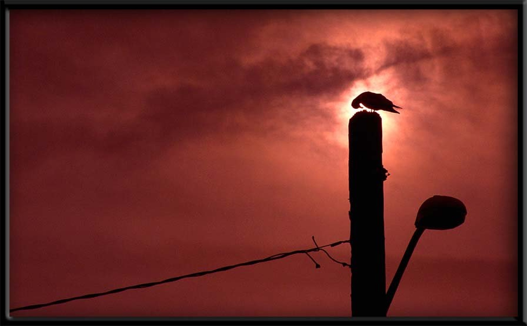 Unforgiving Skies by dee