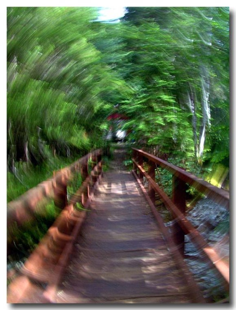 Around the Bridge by dee