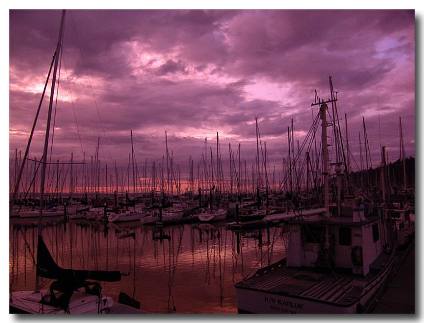 The Fleet by dee