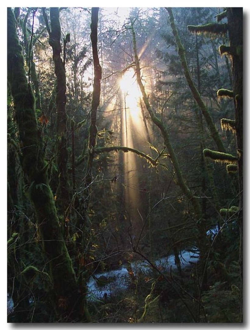 There Is A Light That Never Goes Out by dee