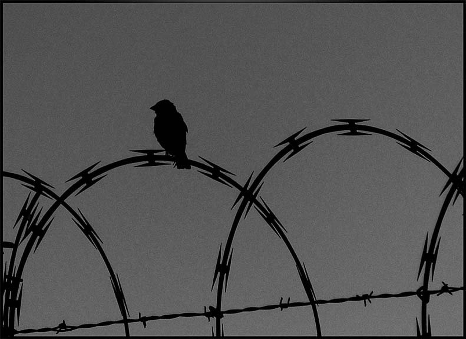 untitled by dee