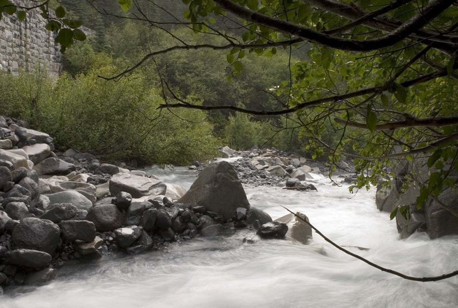 The River by dee