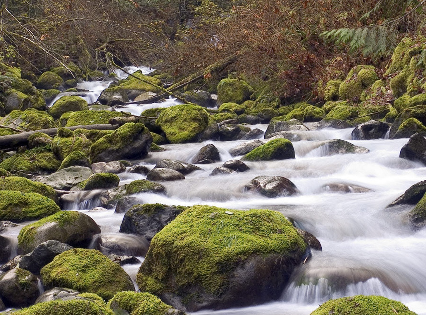 Bitter Creek II by dee