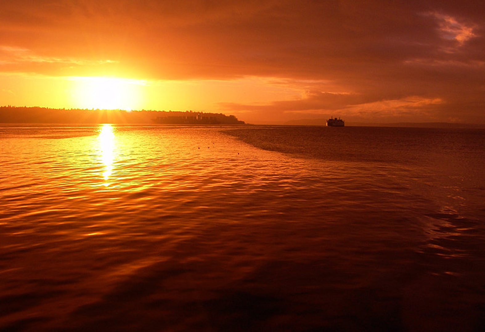 Dreams Of Gold by dee