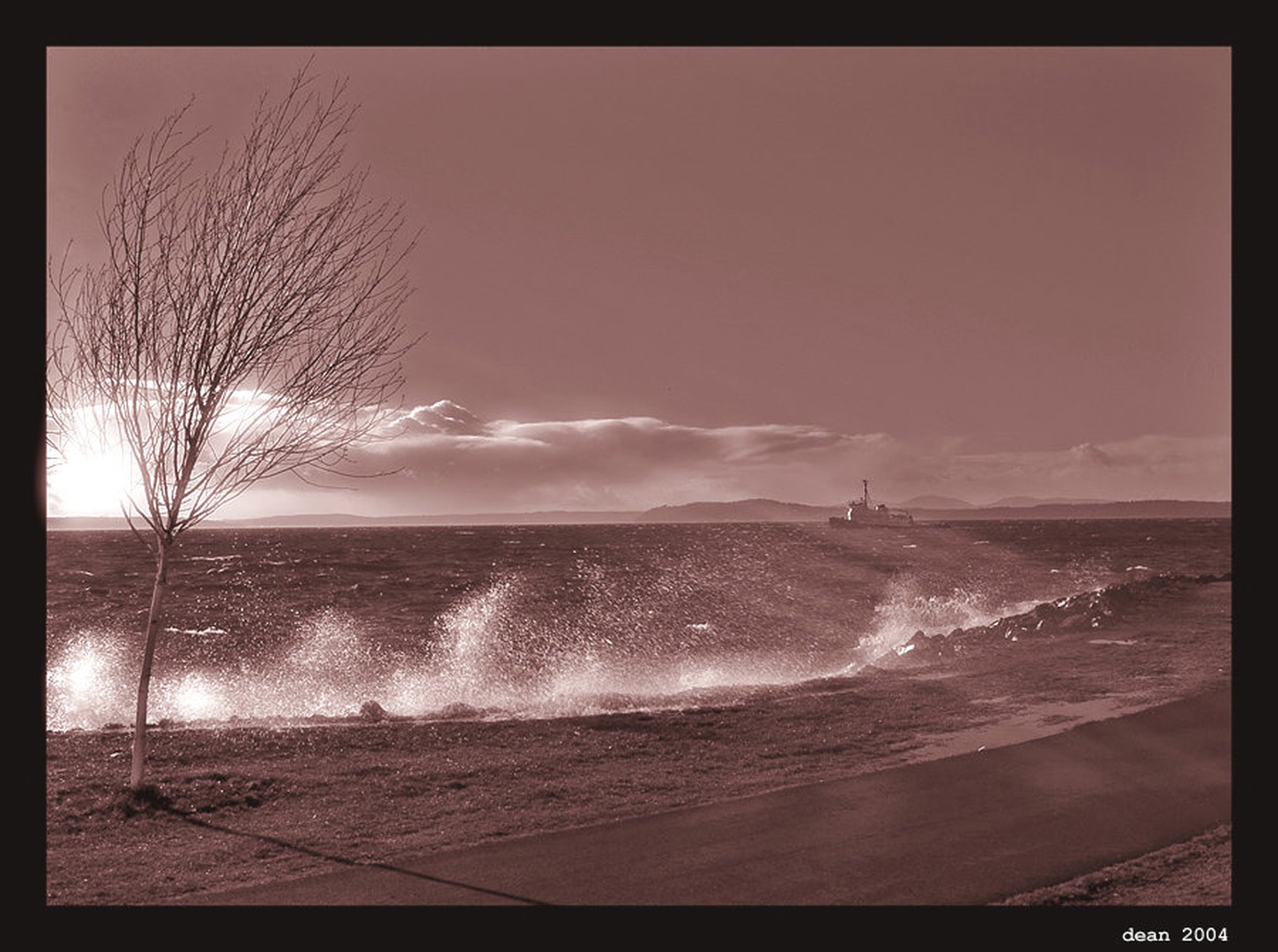 Late In December by dee