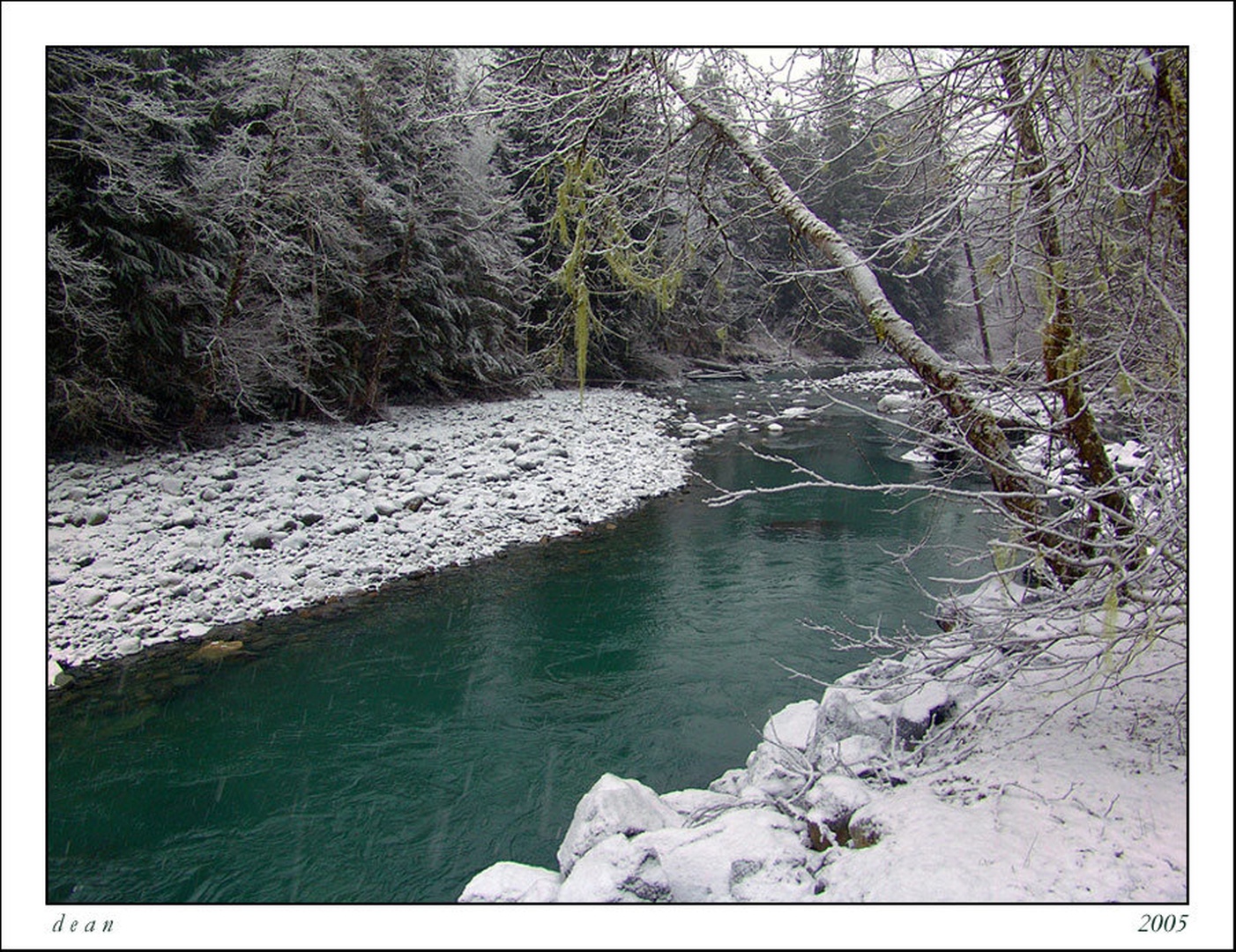 Winter Green by dee