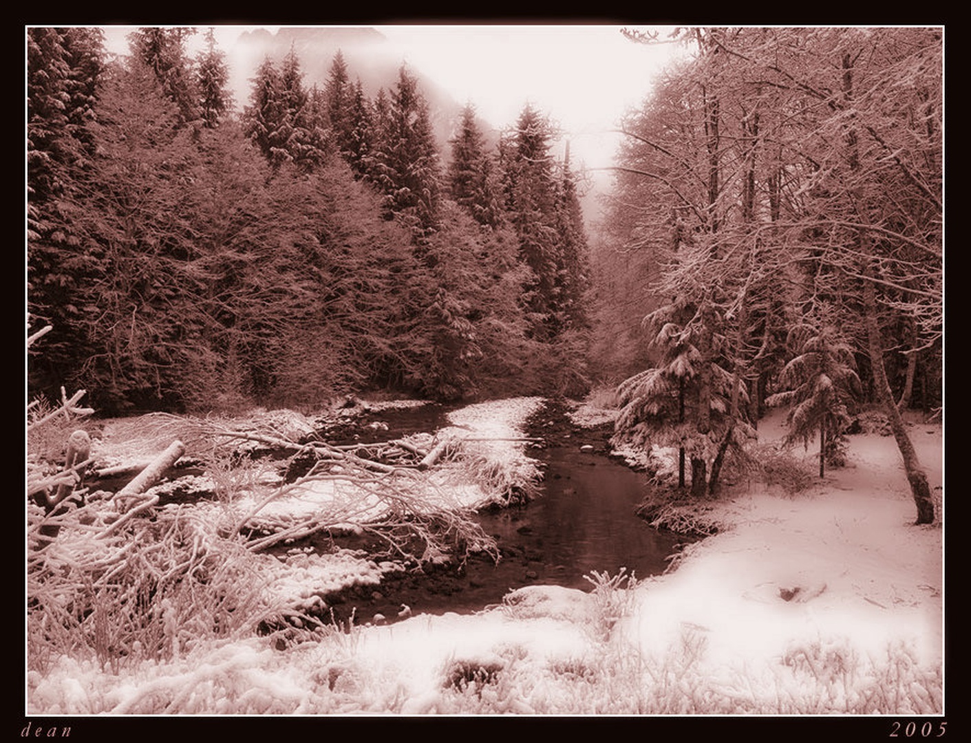 Beaver Creek by dee