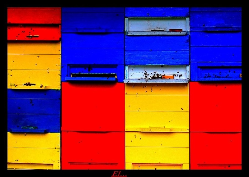 Farbn by El...