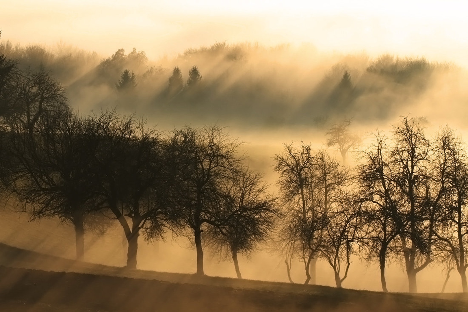Megla2 by Strelko
