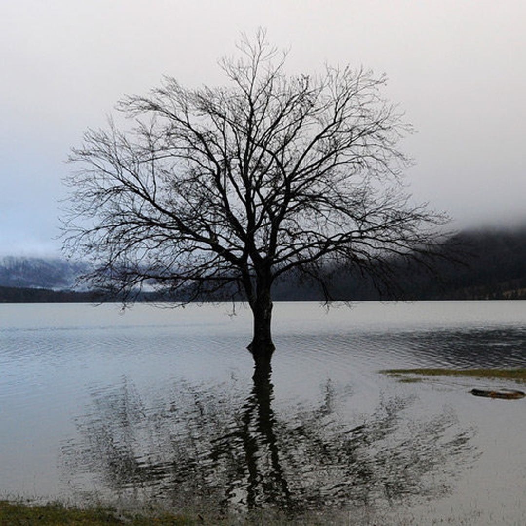 Lake Bohinj by Andy Aungthwin