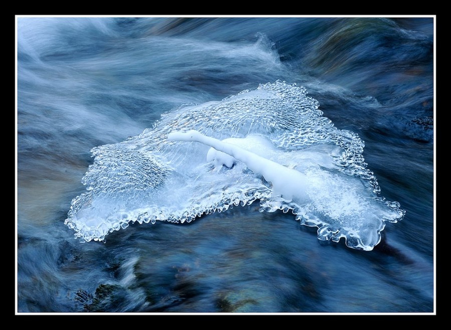 Ice is our common future by Andy Aungthwin