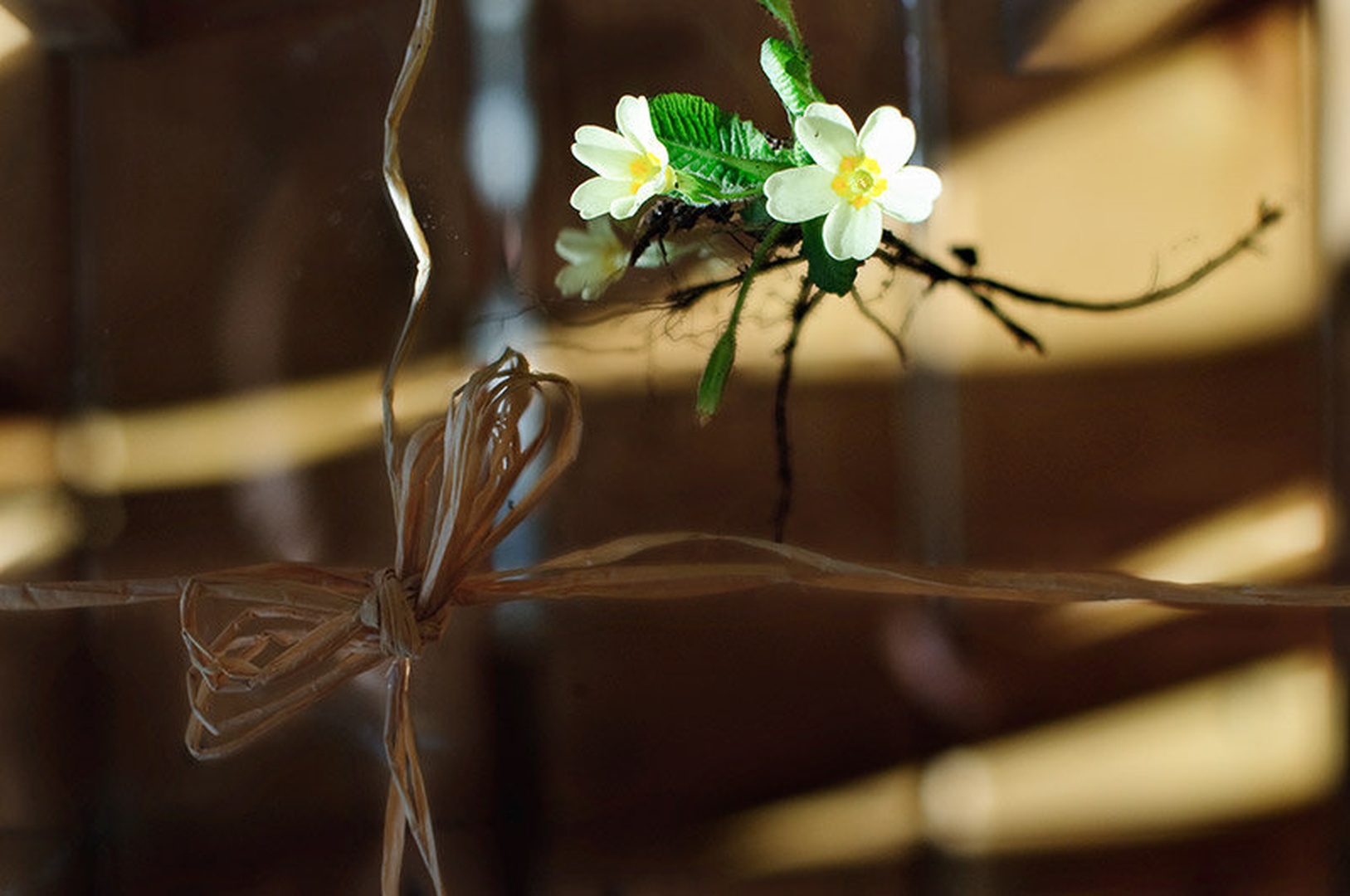 The gift of Spring by Andy Aungthwin