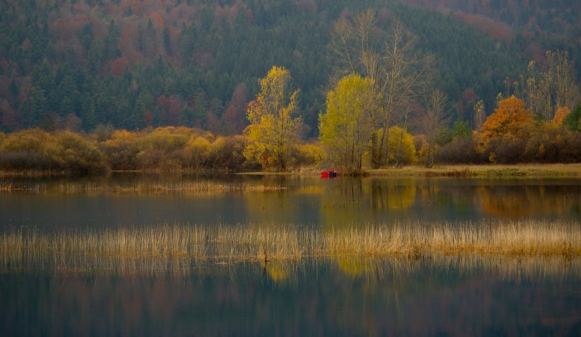 barvitost pozne jeseni by Simon Marka