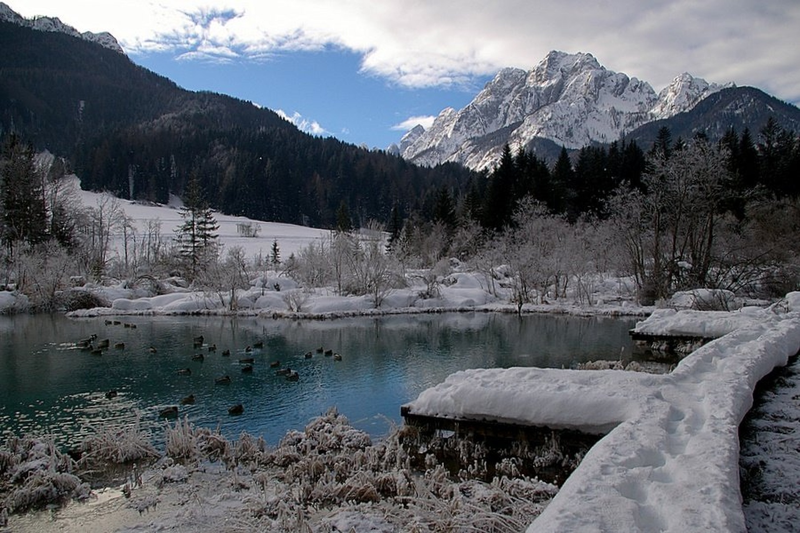 Zelenci by Simon Marka