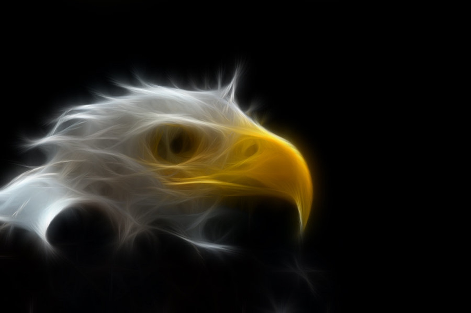 American eagle by Simon Marka