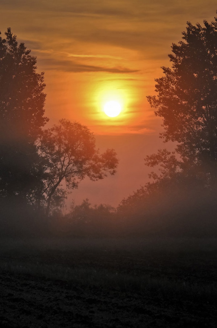 early morning by Simon Marka