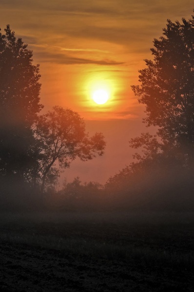 early morning by Simon Marka