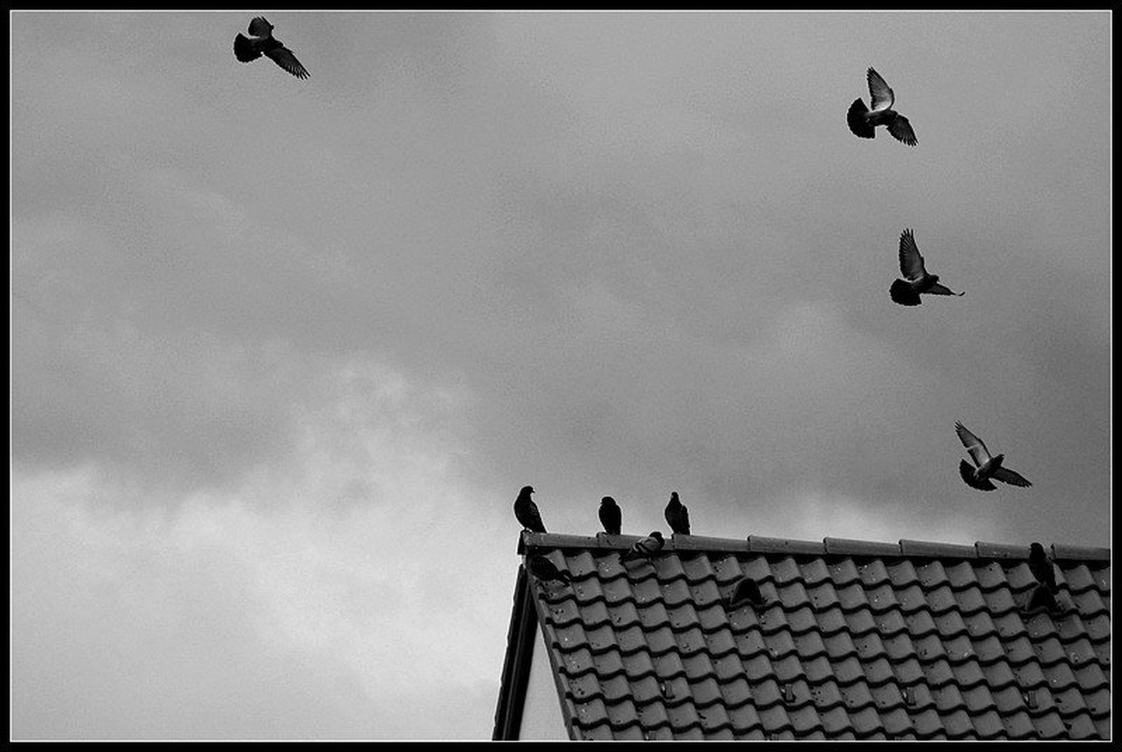 Go away!!! by Jure Horvat